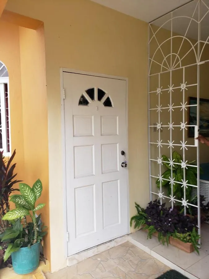 Wizzy Apartment Montego Bay